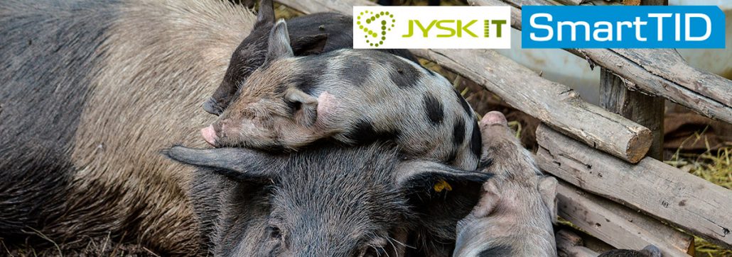 Jysk-IT og SmartTID